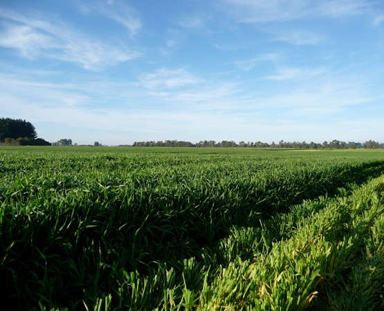 SemenVitae Farmland Neusseland