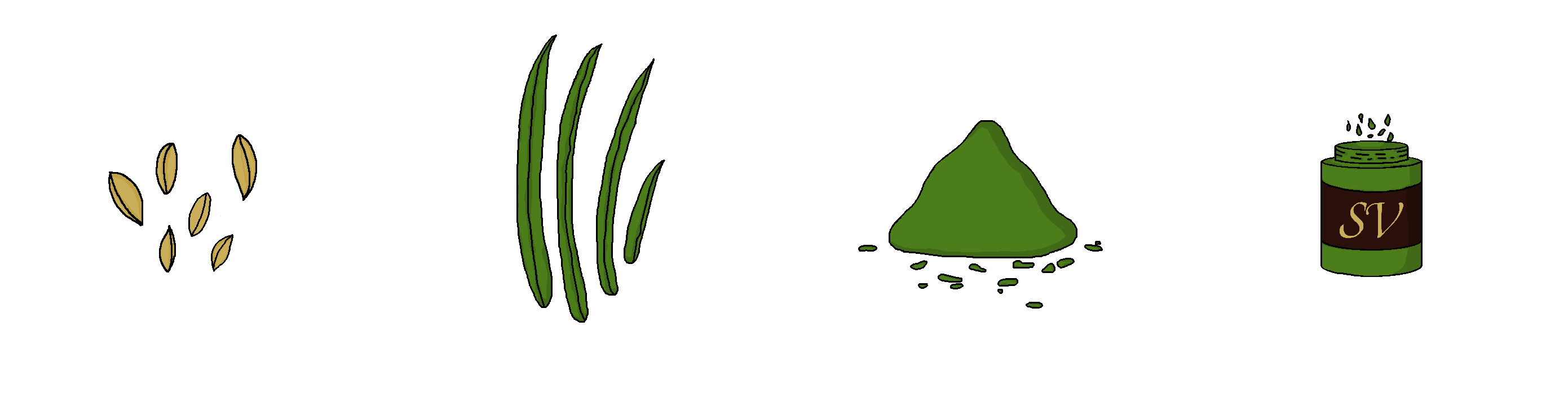 Infografik Gerstengras SemenVitae